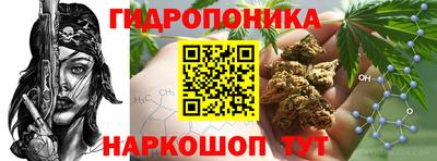 ALPHA PVP Аргун