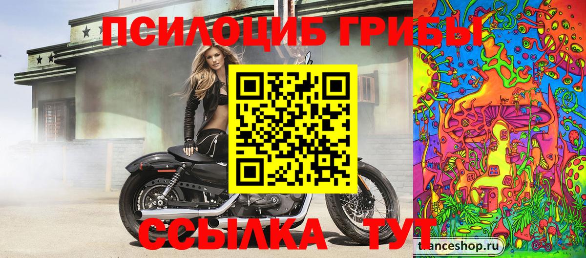 Псилоцибиновые грибы GOLDEN TEACHER Асбест